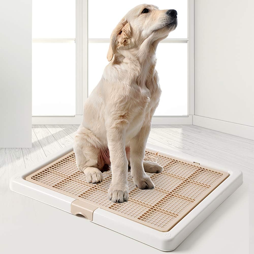 PETHOMEL Large Dog Training Toilet, Dog Potty Tray Litter Box Indoor ...