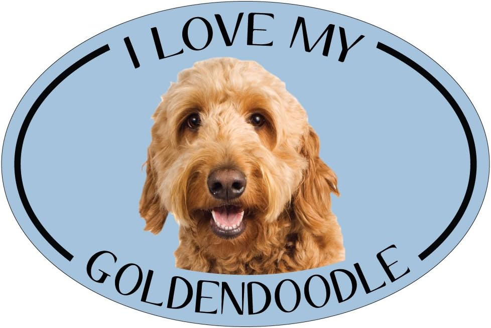 Imagine This Oval Magnet, I Love My Goldendoodle Small