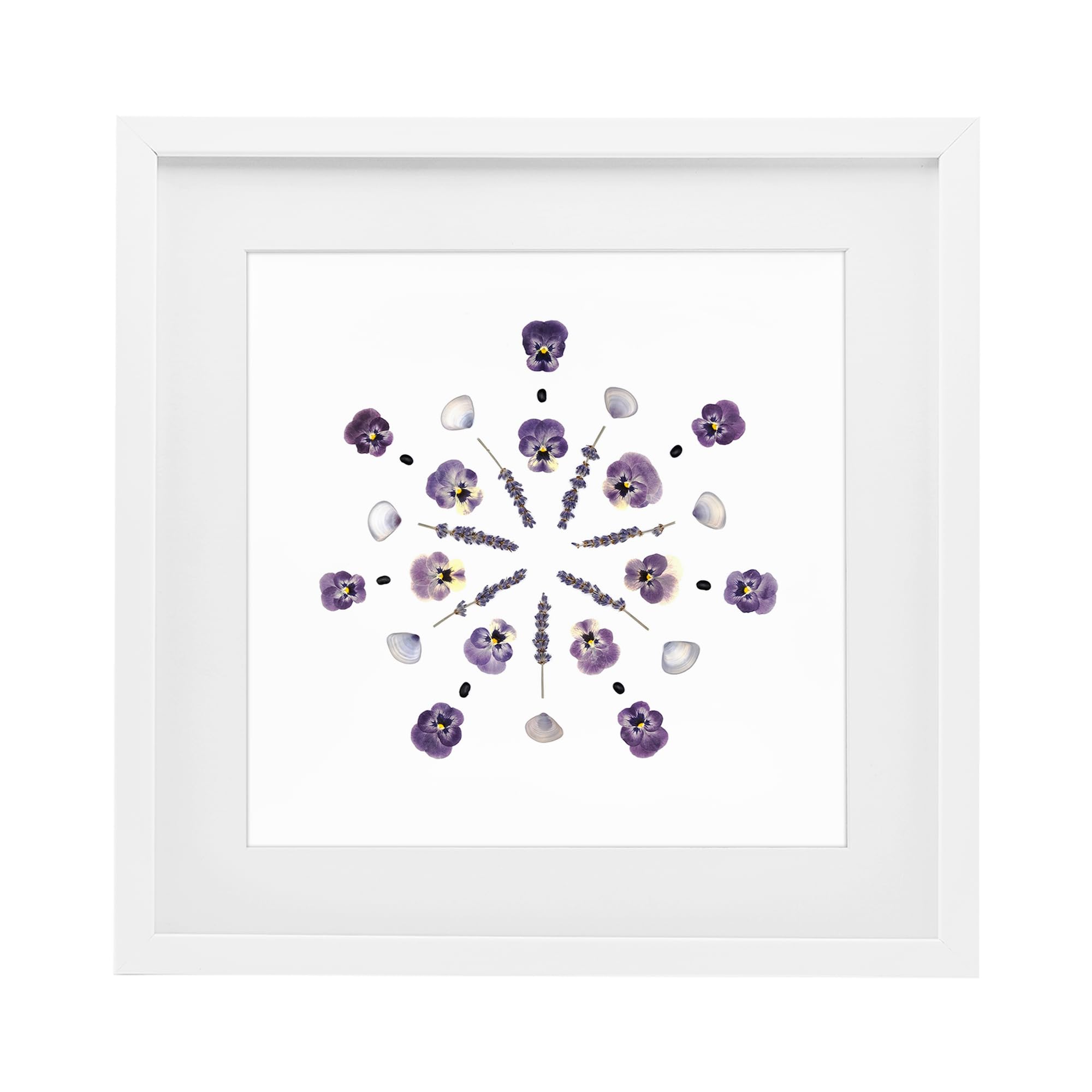 Stupell Industries Coastal White (Textured) 'Pansies & Lavender Symmetry'| Framed Print Under Glass