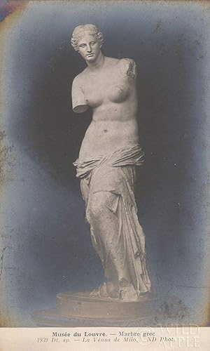 Posterazzi PDX56795SMALL - Póster de la Venus de Milo Wild Apple Portafolio, 14 x 24 pulgadas, multicolor