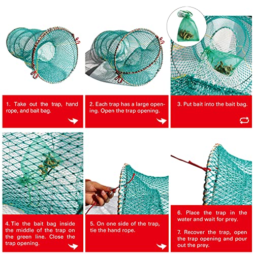 BasicGear Collapsible Crab & Shrimp Trap, 11.8 x 23.6 in - image 5