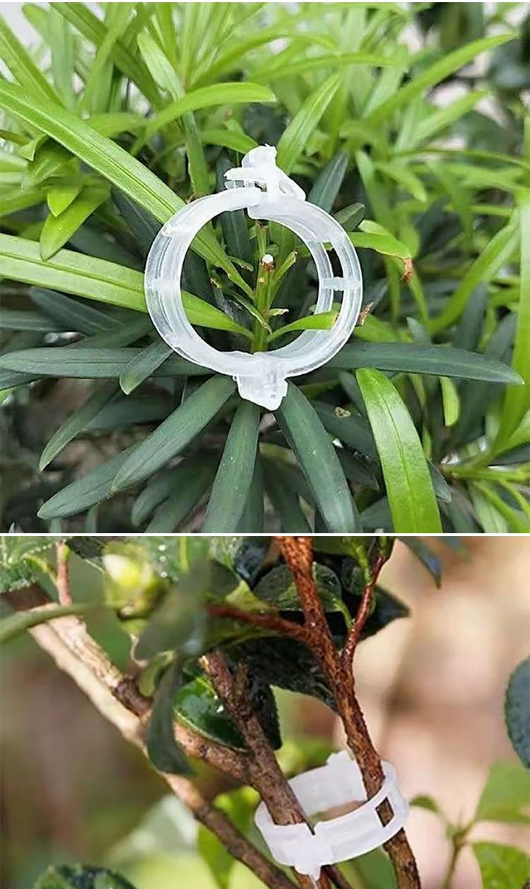 5 pezzi, Pergolato da giardino per piante rampicanti, supporto