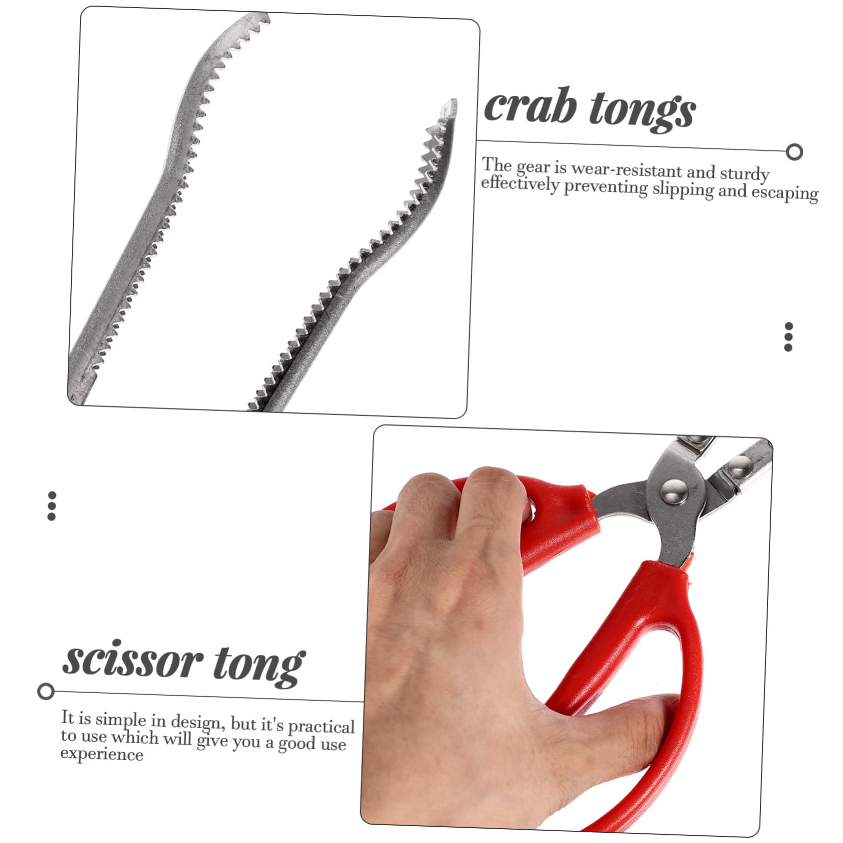 Pinze per Pescare Granchi in Acciaio Inossidabile Impugnatura Antiscivolo e Resistente, Accessorio Multifunzione per Catturare Pesci e Crostacei