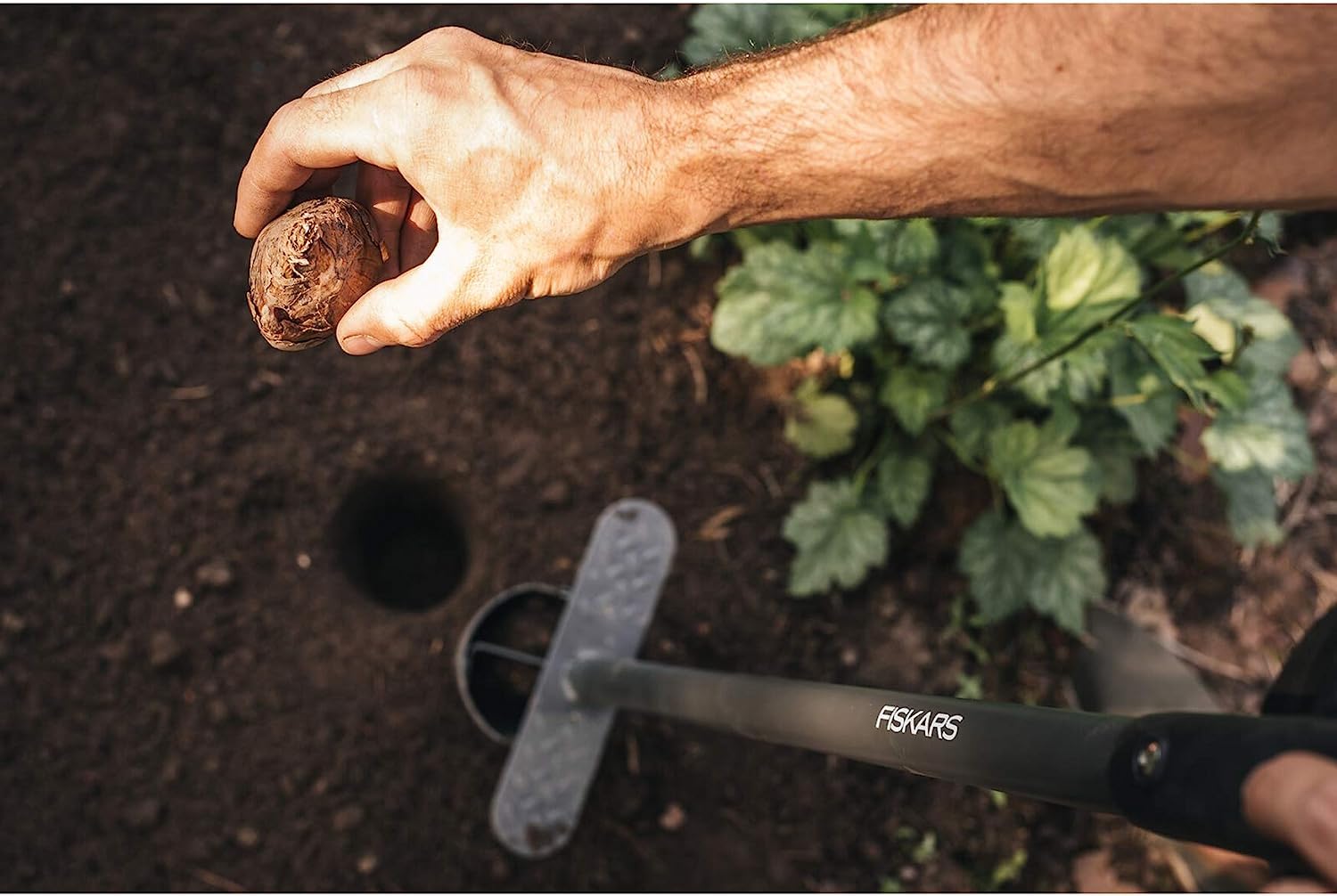 La zappa Trapiantatore "Ergo" da giardino attrezzo adatto per piantare bulbi e piante