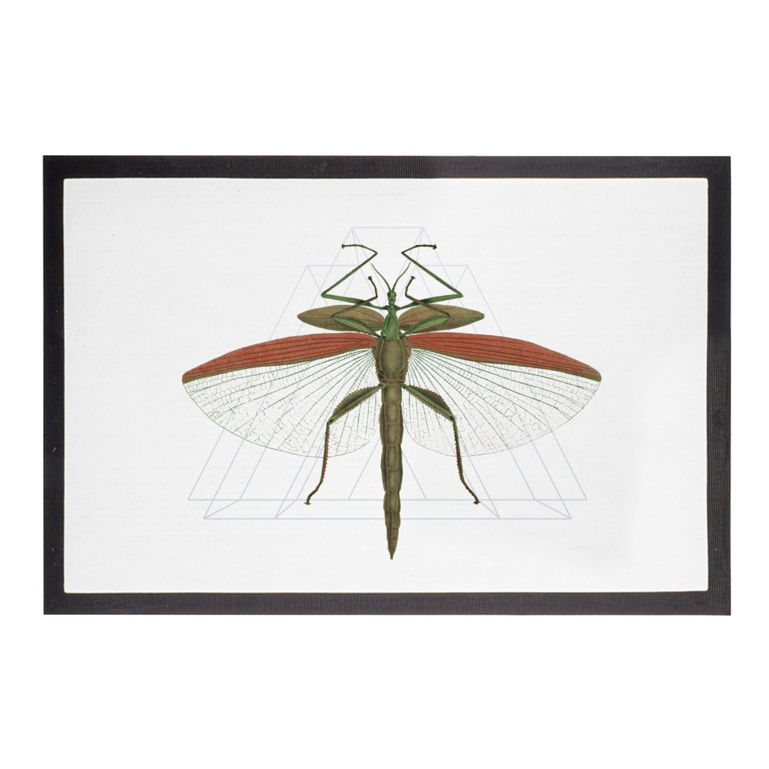 Paillasson blanc vintage insecte, l'art du collage botanique pour un intérieur cosy