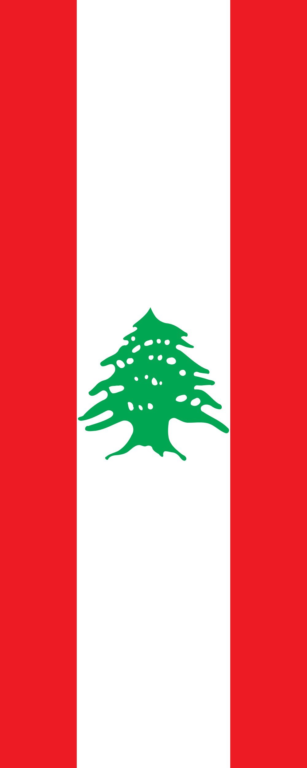 Drapeau Liban 300x120 grand format vertical 3.5m² résistant
