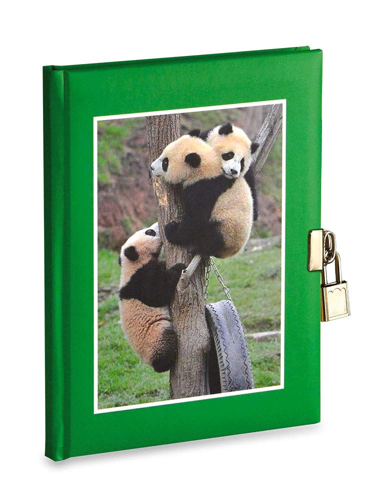 Secret Diary