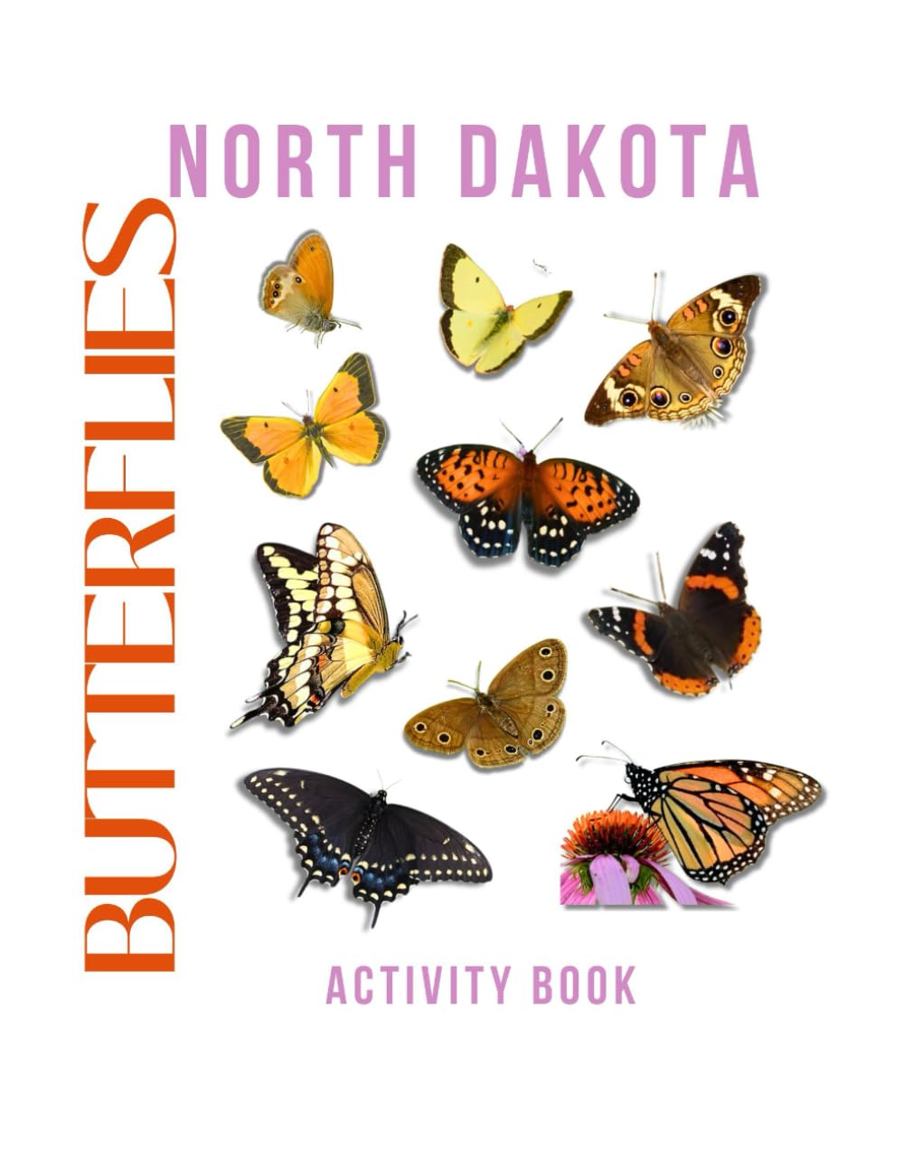 Butterflies of North Dakota Activity Book: A Young Explorer’s Field Guide to the Winged Wonders of North Dakota (North Dakota Nature Explorer Series)