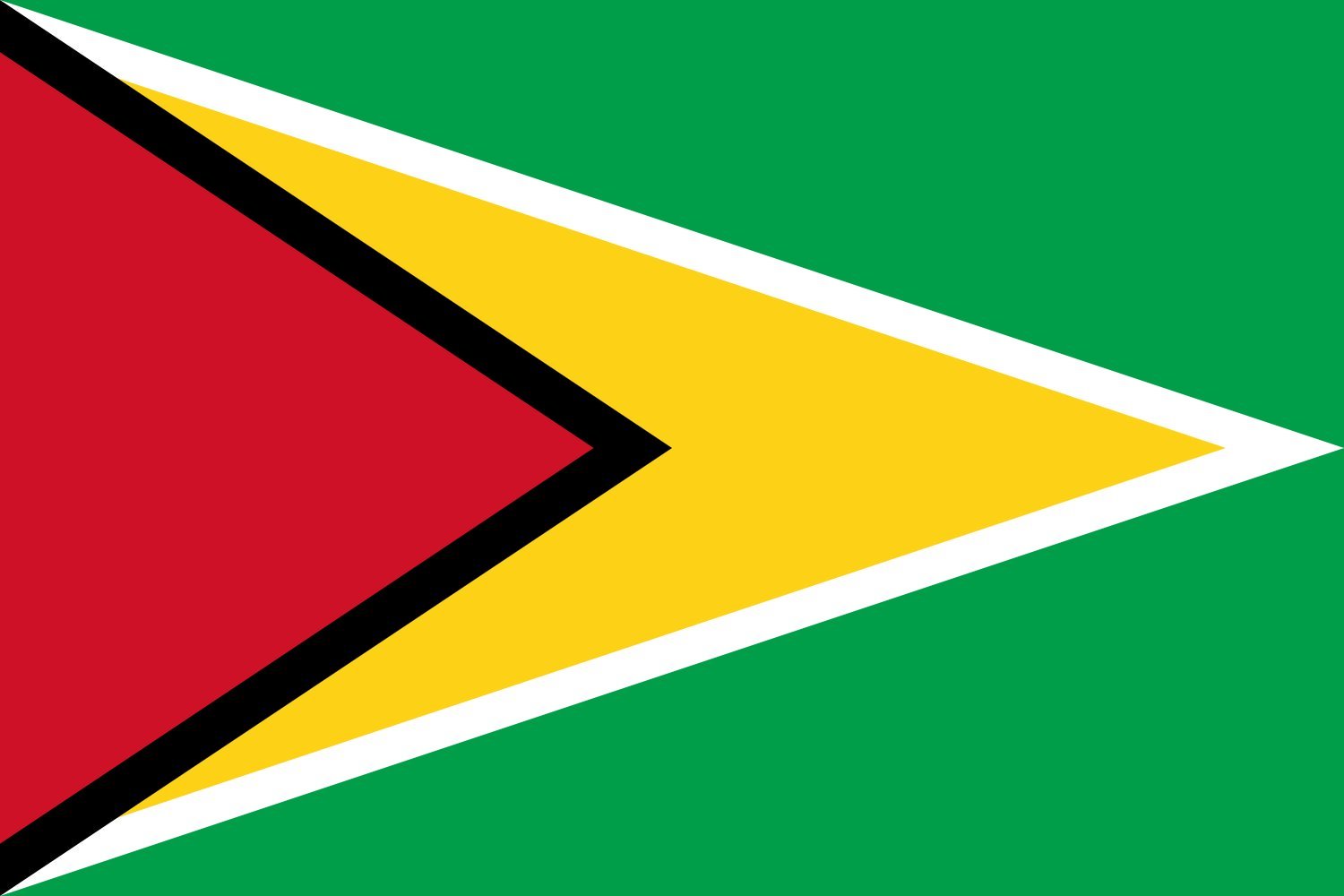 Drapeau XL Guyana grand format 120x180cm pour pavoisement de mairie