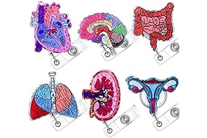 6PC Anatomical Organs Nurse Badge Reels