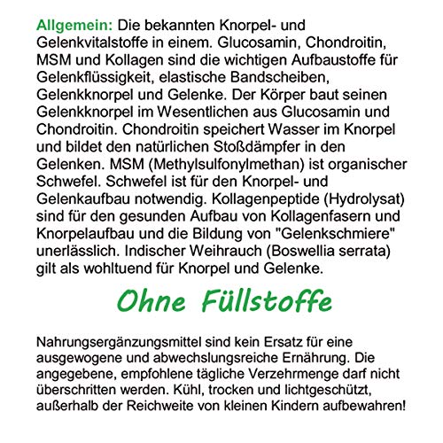 Knorpelaufbau KNORPEL & GELENKE Komplex 180 Kapseln - ArthroWell TOP-5 Gelenkbausteine Gelenkkapseln mit Glucosamin, Chondroitin, MSM, Kollagen, Weihrauch. OHNE ZUSATZSTOFFE 26445-180
