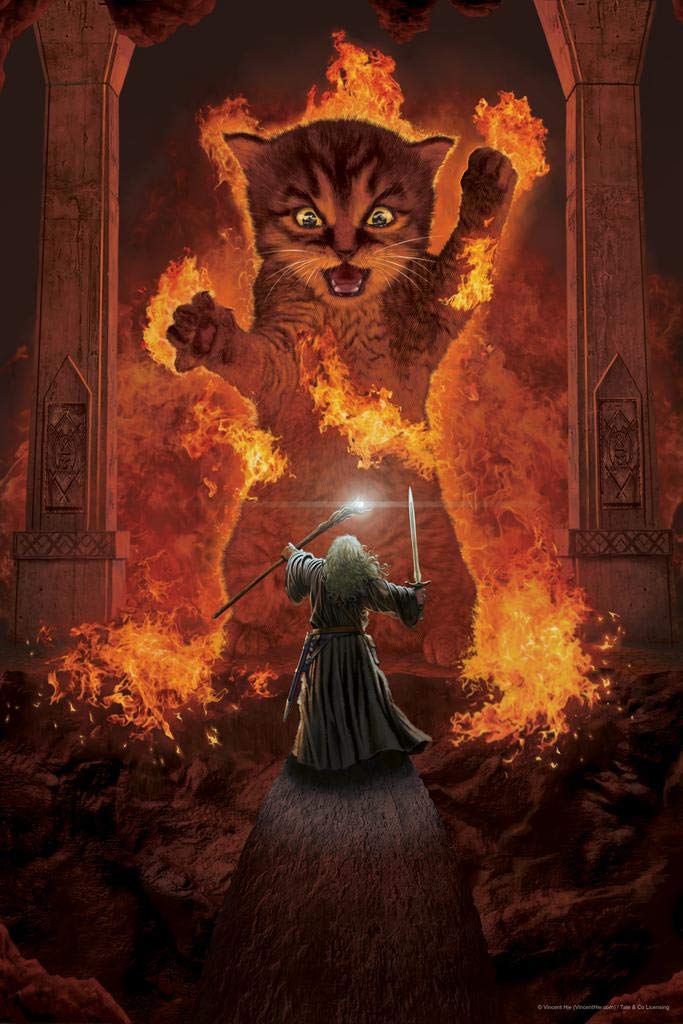 You Shall not Pass Wizard Monster Fight by Vincent HIE Movie Parody Fantasy Art Print Laminated Dry Erase Sign Poster 12x18