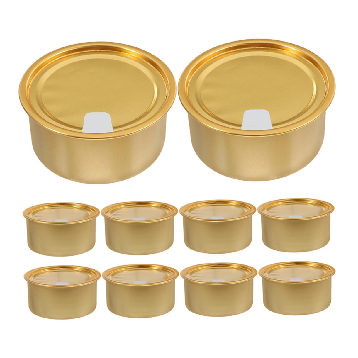 PRETYZOOM 10pcs Box Food Tin with Lid Refillable Cans for Pet Food Fish Storage Cookies and Snacks Lightweight Containers for Travel and Outdoor Activities