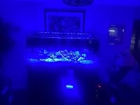 Review Image by David Vogelfanger David Vogelfanger