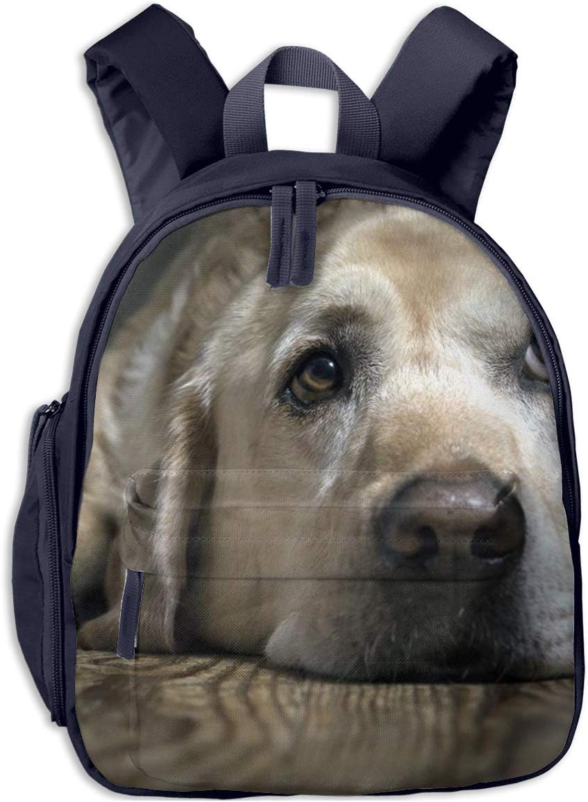 SCSBACKP Student Lovely Labrador Dog Printed Backpack