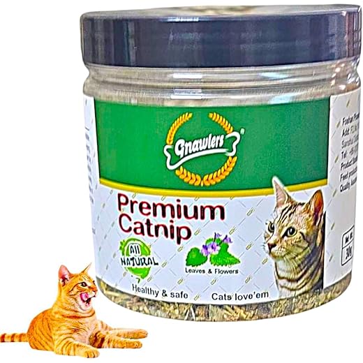 WaggyTails Premium Cat Nip 30g
