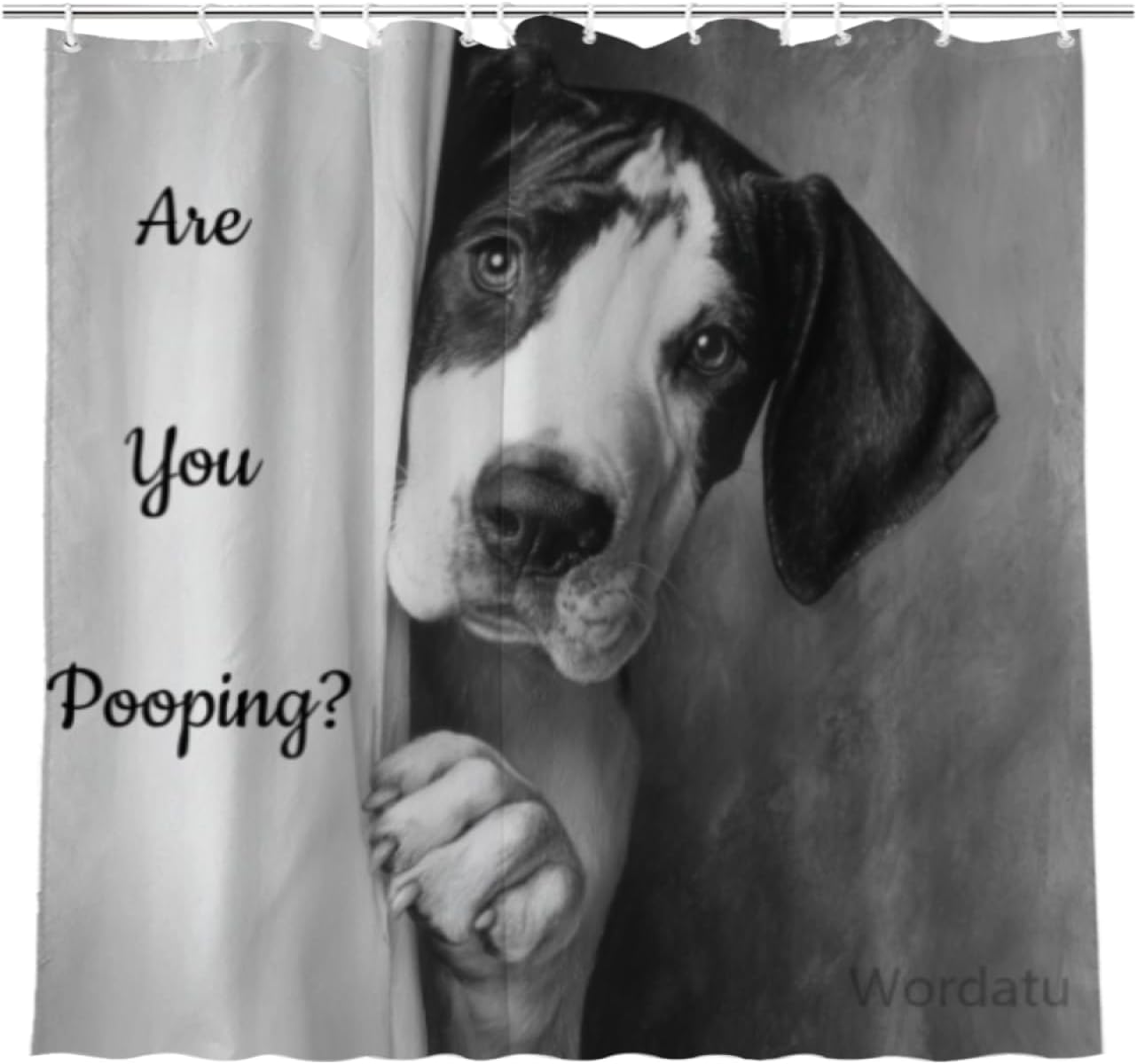 Great Dane Shower Curtain Funny are You Pooping Black and White Bath Curtain Bathroom Decor Animal Toilet Resistant Fabric with 12 Hooks 72x72