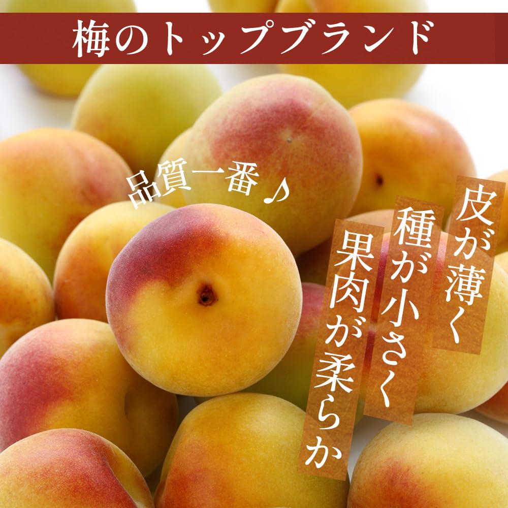 Amazon.co.jp: もりもとや特選 和歌山県産 南高梅 5キロ ご家庭用