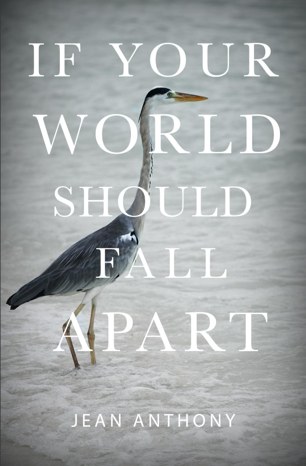 If Your World Should Fall Apart
