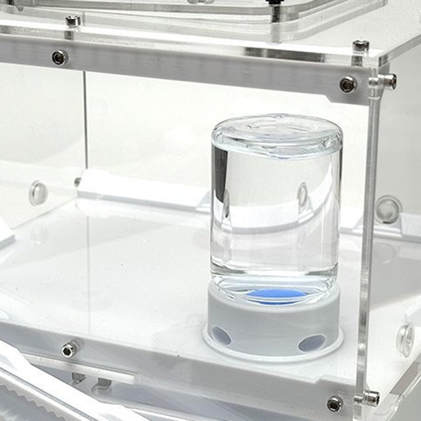 Ameisen-Flüssigkeitsfutterstation – Bienenwasserstation, Auslaufsicheres Transparentes Trinkreservoir, Gut Sichtbares Design | Futterspender Für Grillen, Klassenzimmer, Zuhause, Pädagogische Naturbeob Ameisen-Flüssigkeitsfutterstation – Bienenwasserstation, Auslaufsicheres Transparentes Trinkreservoir, Gut Sichtbares Design | Futterspender Für Grillen, Klassenzimmer, Zuhause, Pädagogische Naturbeob