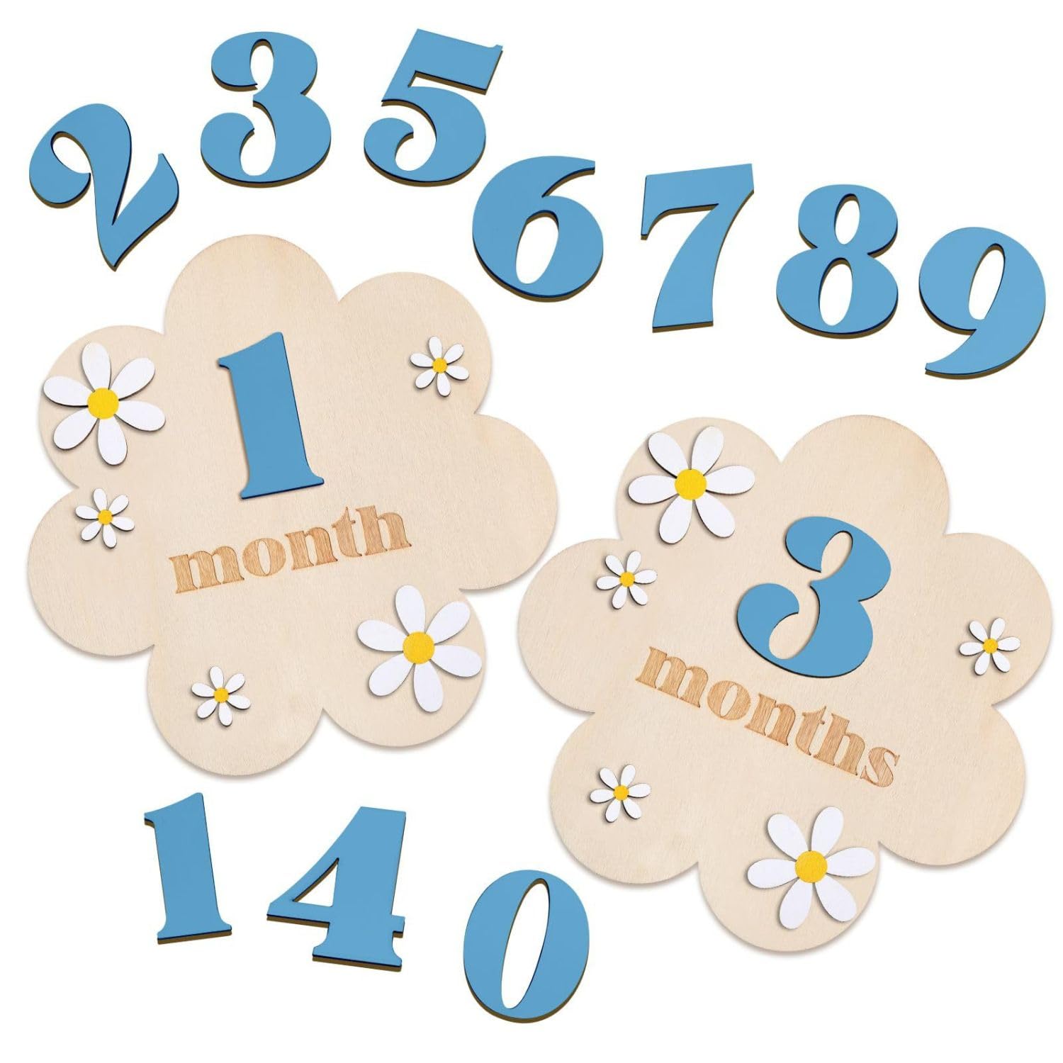 Baby Monthly Milestone Cards for New Born Photoshoot | Blue Baby Monthly Photoshoot Props for Milestone Memories-picture-21