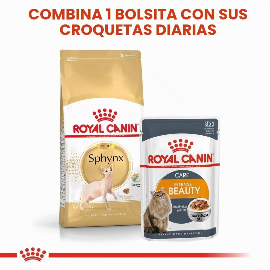 Royal Canin Comida para gatos Sphynx 10 Kg