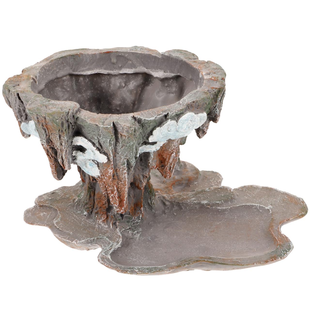 Pot à Bonsaï et Succulentes pour Décoration Élégante de Chambre