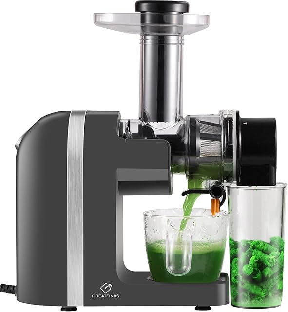 Juicer Machine, Slow Masticating Juicer Extractor, Cold Press Juicer with Quiet Motor and Reverse Function, Anti-Clogging Easy to Clean with Brush for Fresh Fruits and Vegetables Juice