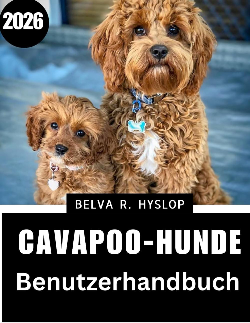 Cavapoo-Hunde – Benutzerhandbuch2026: Schritt-für-Schritt-Pflegeroutinen für einen glücklichen, gesunden Begleiter