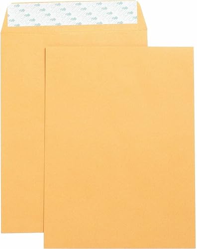 Business Source Sobres para catálogo de formularios, 9 x 12 pulgadas (42120)