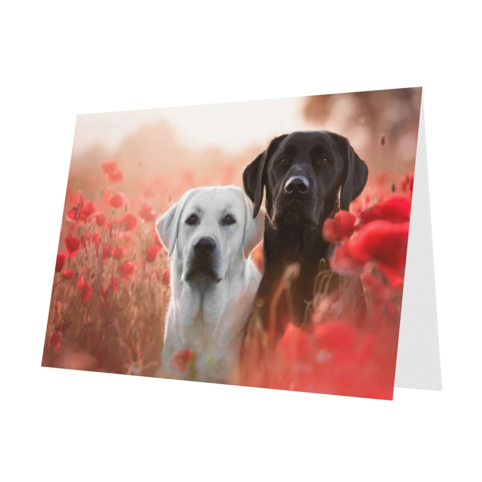 Carte De Vœux 21 X 10,5 Cm Modèle 204