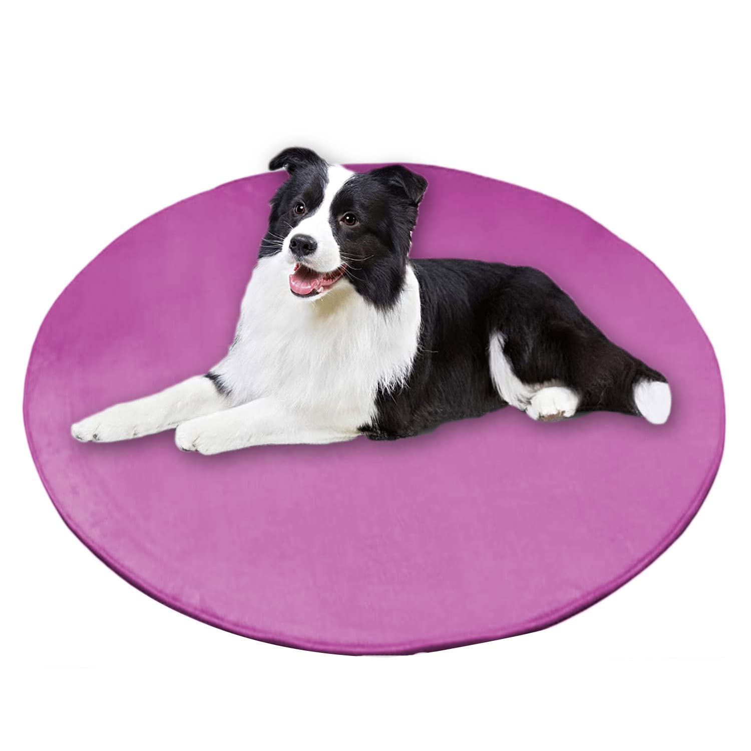 Waigg Kii Dog Bed Round Pet Mat,Coral Velvet Soft Anti-Slip Dog Cushion,Anti-Anxiety Large Dog Mattress for Small Medium Large Cats Dogs (Round 80cm,Purple)