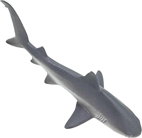 Miniatura 7 de Safari Ltd. Figura de tiburón de arrecife gris, figura detallada de modelo de plástico de 6.25 pulgadas, divertido juguete educativo de juego de
