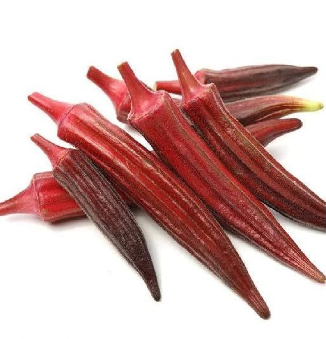 Okra Red Bhindi seeds "Hybrid" For Home Gardening, Planting (Red Lady Finger) "Lal Bhindi" Hybrid Seeds Indoor & Outdoor Vegetable Seeds (50 Seeds) (B0D9HJLK64) Amazon Price History, Amazon Price Tracker