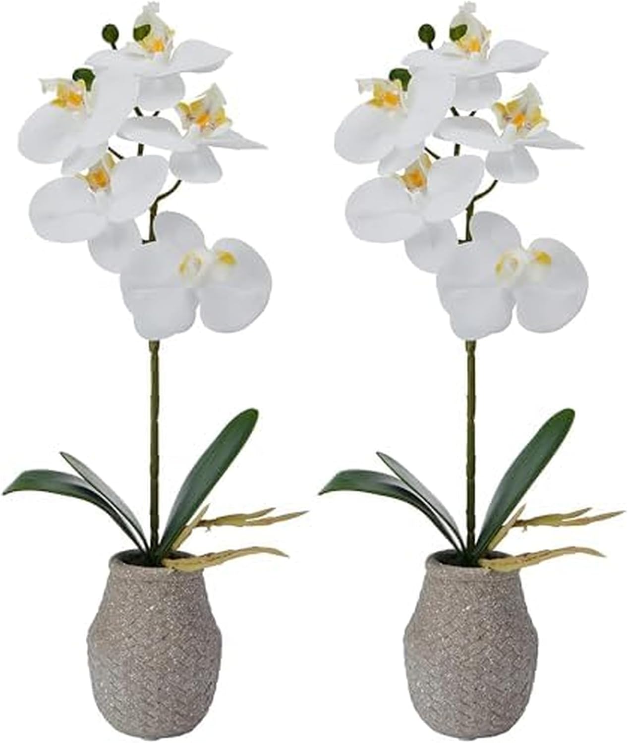 Mikasa Artificial Orchid in Pot, Real Touch Phalaenopsis Orchid, Embossed Weave Cement Pot, 16-Inch Single Branch, White/Yellow (Pack of 2)