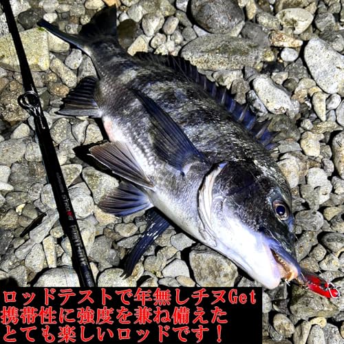 ジギンガーZ ジグSPR788/6-ML