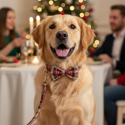 Miniatura 67 de PETDURO Collar de perro personalizado con nombre y teléfono grabado en hebilla de metal – Personalizado para perros medianos y grandes – Impresiones