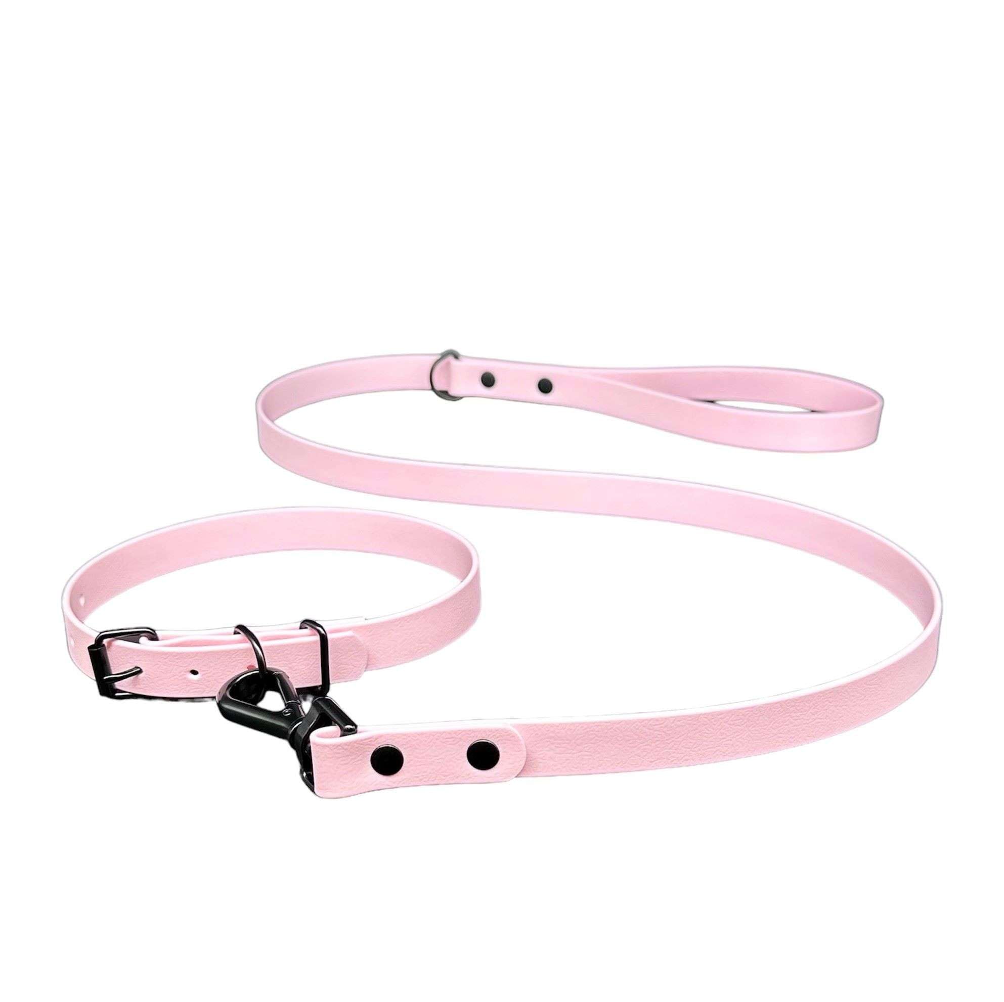 Waterproof Biothane Dog Lead & Collar Set | Metal Buckle | Black Rivets | Ultra Durable…