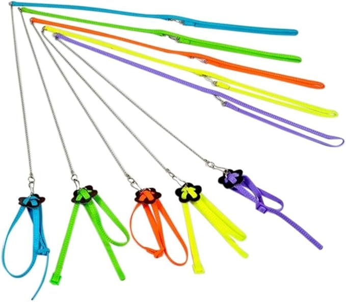 Beauty Parrot Adjustable Bird Harness and Leash Outdoor