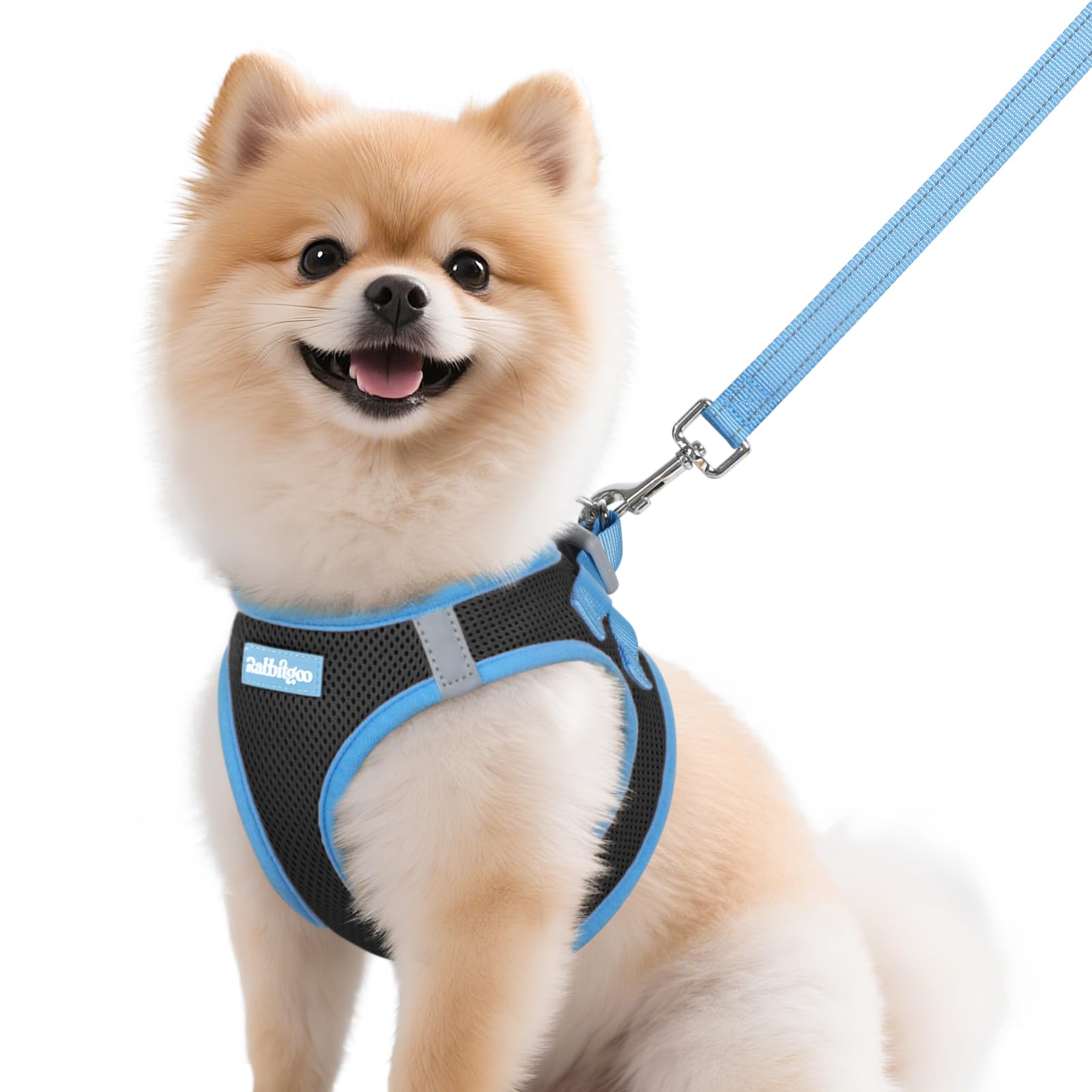 rabbitgoo Step-in Harness and Leash Set