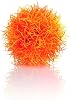 biOrb Pet Ball For All Breeds, Orange, 9.46 Pounds