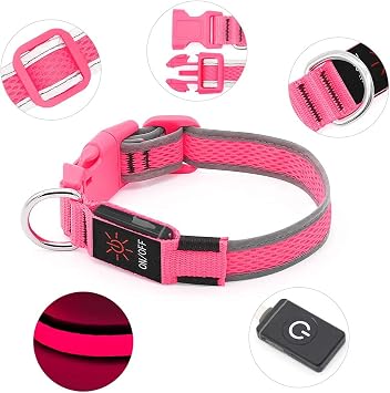 BSEEN Light up Dog Collar Lights for Night Walking - Waterproof LED Dog Collar light Rechargeable Glow in The Dark Dog Collars for Small Dogs (Pink, Small)