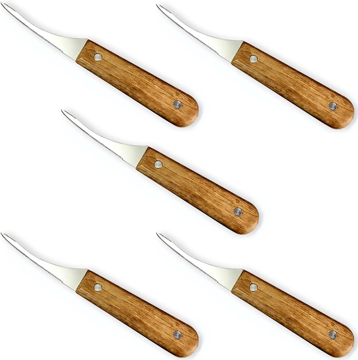 Dadamong 5Pcs Shrimp Deveiner Tool Shrimp Cleaner Knife