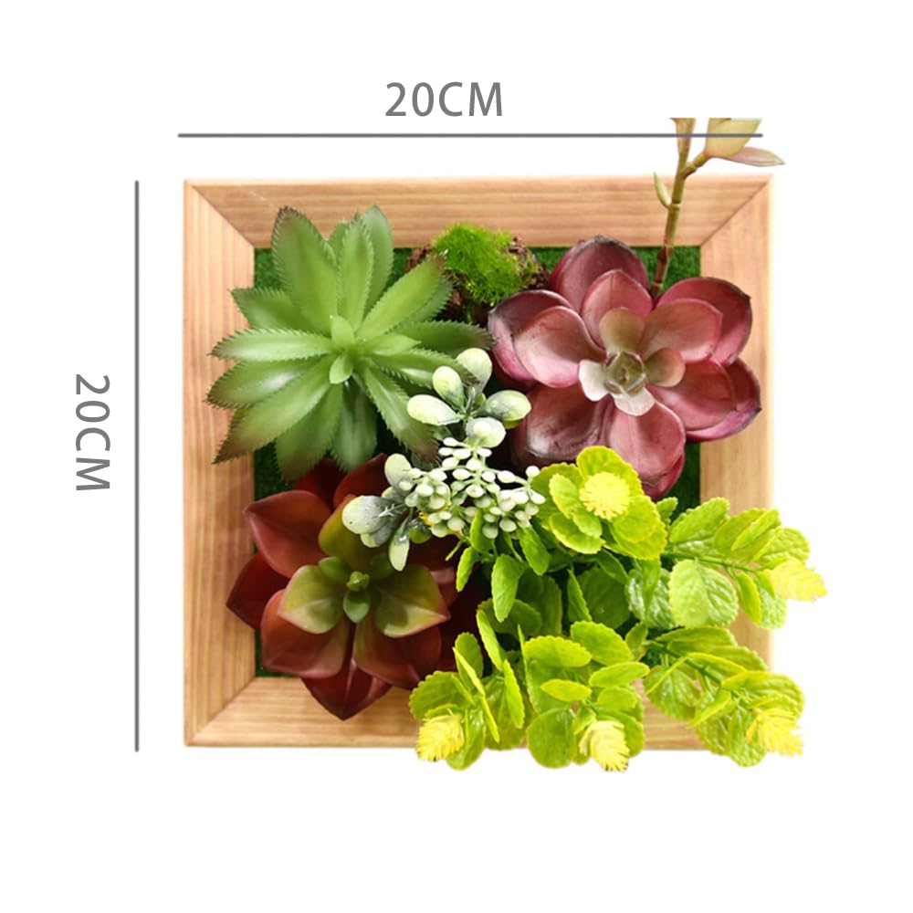 Amazon｜ECKEK 人工多肉植物 壁掛け 人工観葉植物 フェイクグリーン