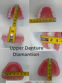 Amazon.com : Generic Full Denture Upper & Lower, Pink