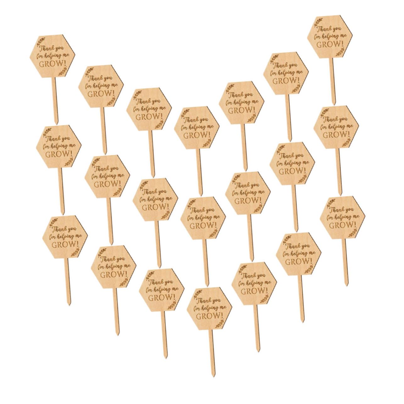 ibasenice 5 Ensembles Étiquette En Bois Étiquettes De Pépinière De Jardin Étiquettes De Plantes De Pépinière Toi Nom Pour Étiquettes De La Pot De Fleurs Étiquettes De Semis 40 Pièces * 5