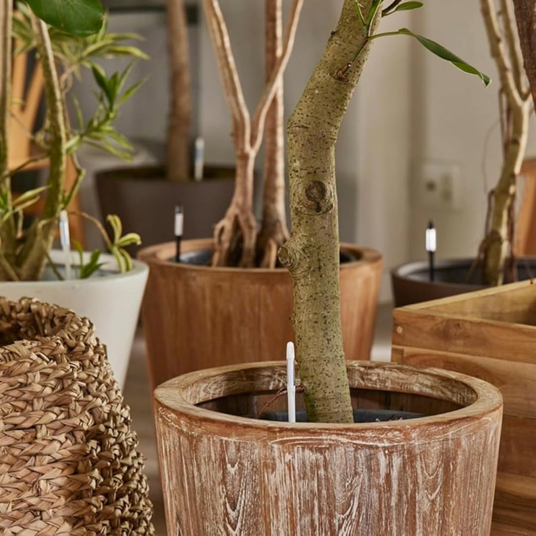 IPPINKA Sustee Aquameter – Grande – nero – Confezione da 12 – Misuratore di umidità del suolo senza risciacquo per piante in vaso – Sensore acqua per piante – Ricaricabile