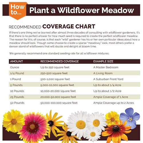 Deer Resistant Wildflower Seed Mix - 1/4 Pound - Mixed Wildflower Seeds, Attracts Bees, Attracts Butterflies, Attracts Hummingbirds, Attracts Pollinators, Easy To Grow & Maintain, Cut Flower Garden #TOP2
