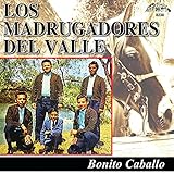  Bonito Caballo Blanco