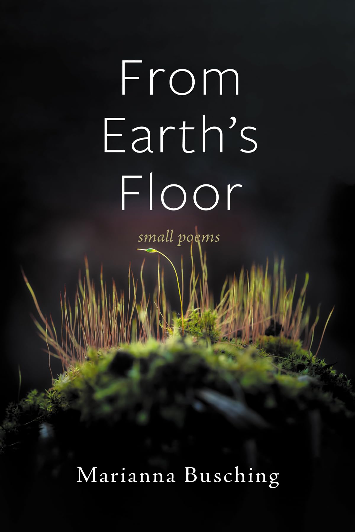 From Earth's Floor: Small Poems